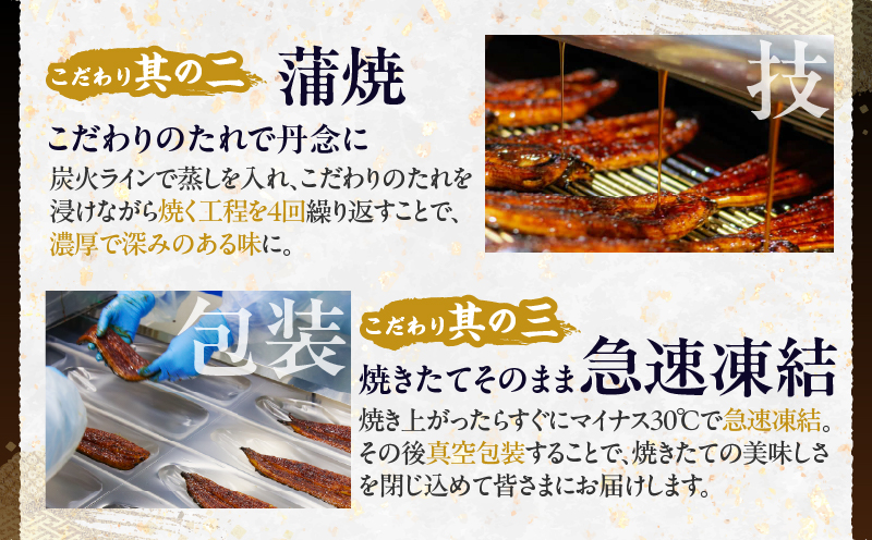うなぎ蒲焼特大3尾(さんしょう・たれ付き)計600g以上 鰻 魚 魚介 加工品 国産_T026-0021