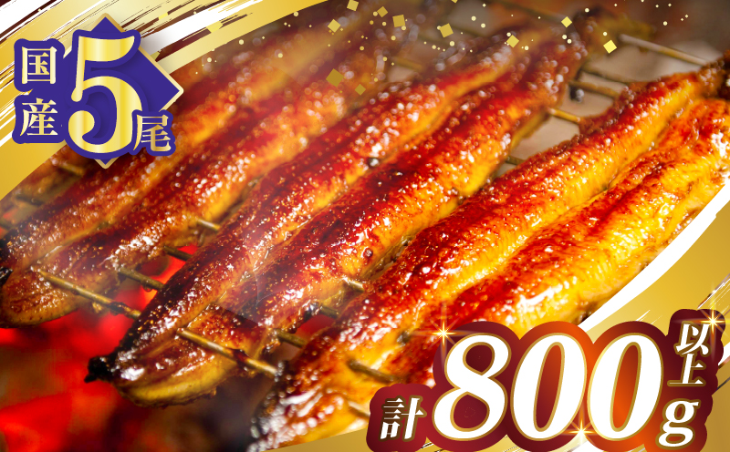 【選べる発送月・春・夏の丑の日・連続・隔月定期便】うなぎ蒲焼5尾(さんしょう・たれ付き)計800g以上 鰻 魚 魚介 加工品 国産_T026-0032-SKU