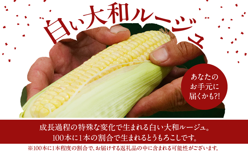 先行予約≪期間限定≫大和ルージュ＆そのでこセット(合計1.5kg以上) 野菜 加工品 国産_T003-0145