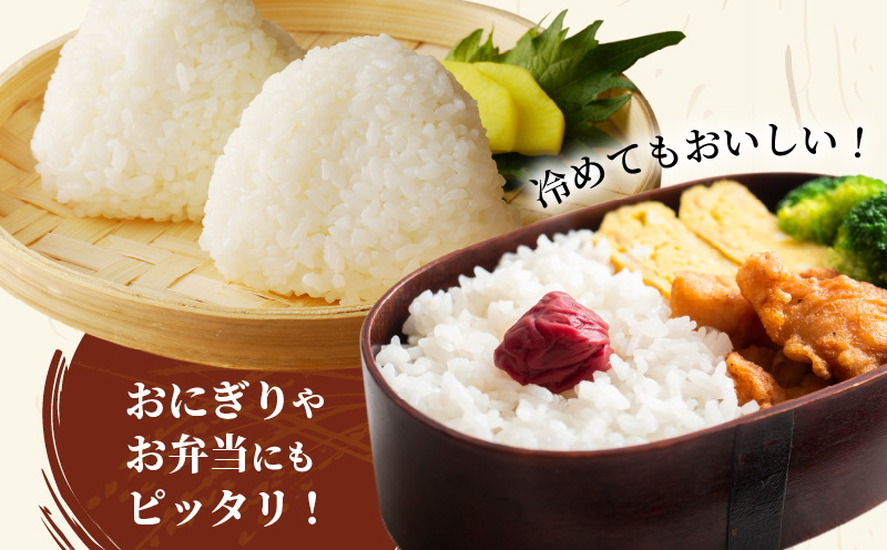 先行予約≪都農町産≫新米コシヒカリ(5kg) 米 お米 ご飯 国産_T031-0015