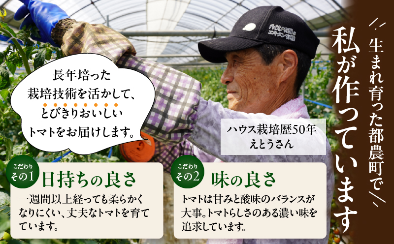 先行予約≪期間限定≫オリジナルブランド「フルーツトマト ゆき」計2kg ミニトマト 野菜 サラダ 国産_T047-0041