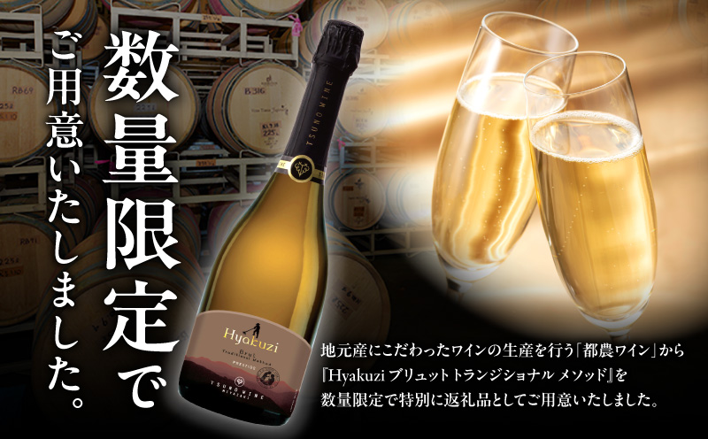 【数量限定】Hyakuzi ブリュット トラディショナル メソッド(計1本) 酒 飲料 アルコール 国産_T014-008