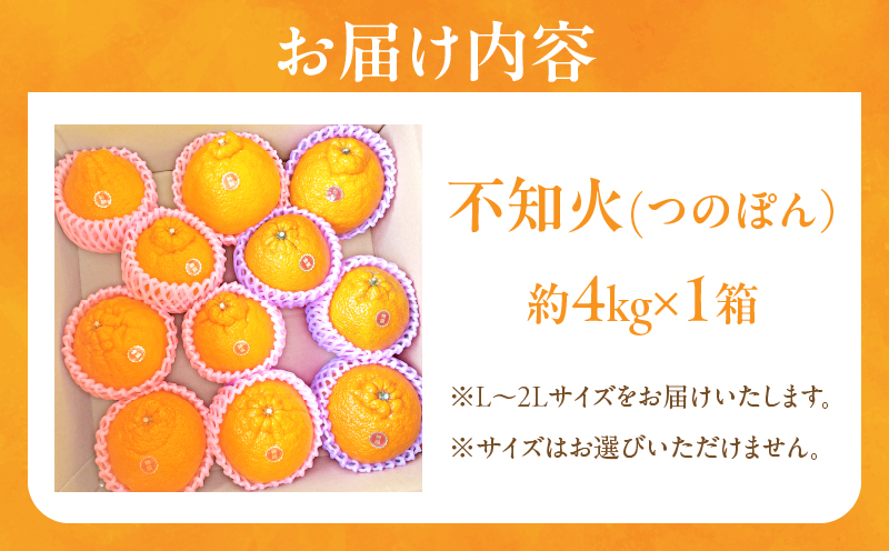 先行予約«数量限定»不知火(つのぽん)約4kg フルーツ 果物 柑橘 みかん 国産_T002-001