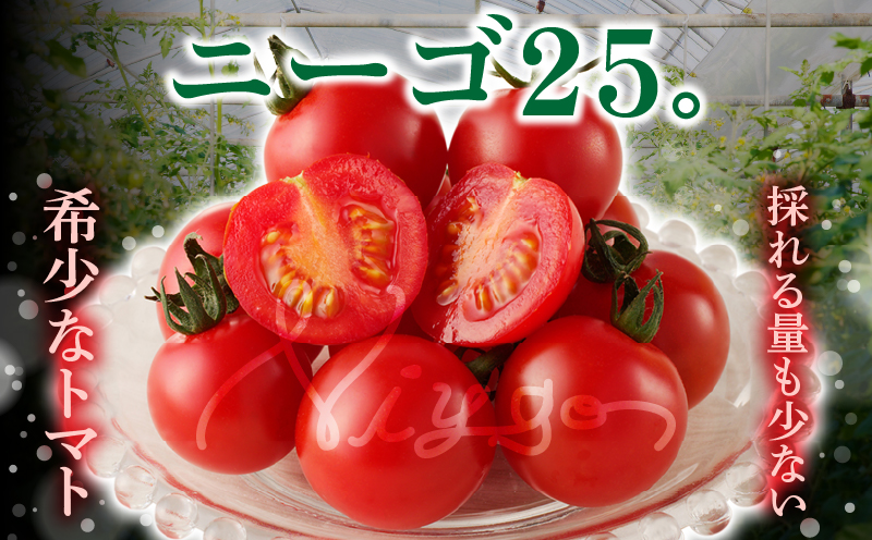 先行予約≪期間限定≫高糖度ミニトマト『ニーゴ25。』(計1.6kg) ミニトマト 野菜 サラダ 国産_T040-0021
