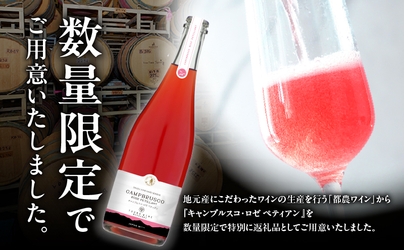 【数量限定】キャンブルスコ・ロゼ ペティアン (計1本) 酒 ワイン アルコール 国産_T014-019