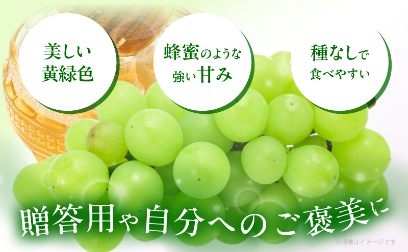 先行予約≪期間限定≫都農町産ハニービーナス(計2kg) ぶどう フルーツ 果物 デザート 国産_T015-0035