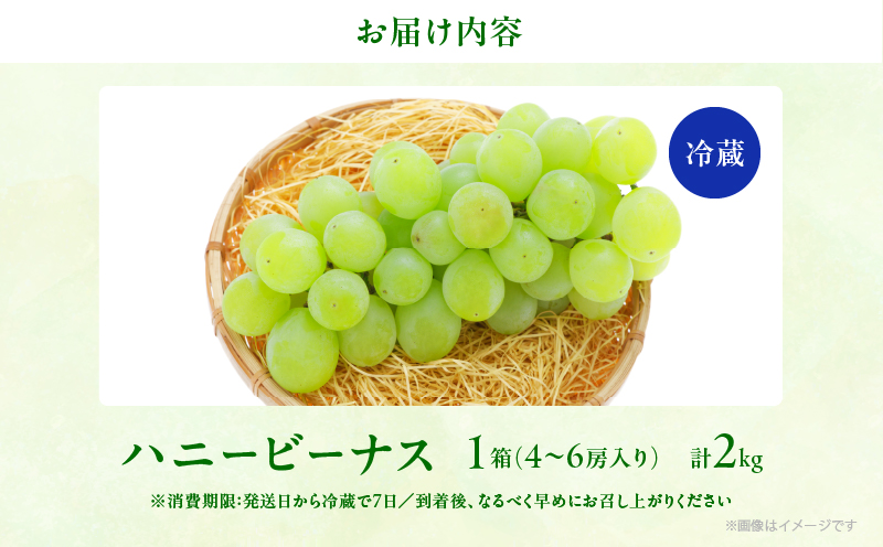 先行予約≪期間限定≫都農町産ハニービーナス(計2kg) ぶどう フルーツ 果物 デザート 国産_T015-0035