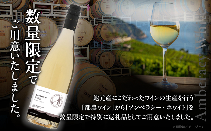 【数量限定】アンベラシー ホワイト(計1本) ワイン 酒 アルコール 国産_T014-048