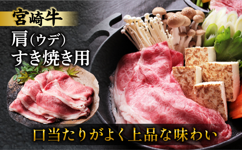 宮崎牛サーロインステーキ&肩(ウデ)すき焼き用セット合計500g 肉 牛 牛肉 焼肉 国産_T009-0032