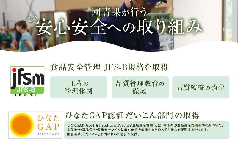 【2週間以内発送】＼ポスト投函／わりぼし大根(醤油味)計1袋 野菜 加工品 国産_T003-015