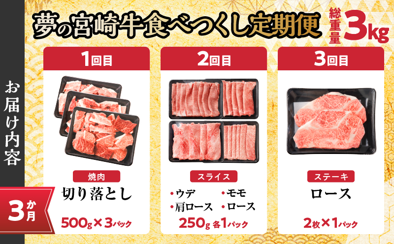 ≪3か月定期便≫夢の宮崎牛食べつくしセット(総重量3kg) 肉 牛 牛肉 おかず 国産_T030-1423