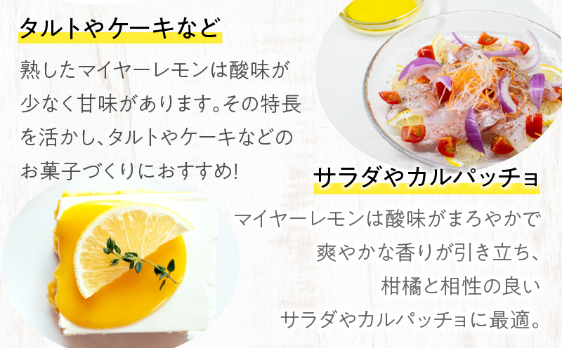 先行予約≪期間限定≫都農町産さくらレモン(マイヤーレモン)計2kg フルーツ 果物 柑橘 レモン 国産_T002-003