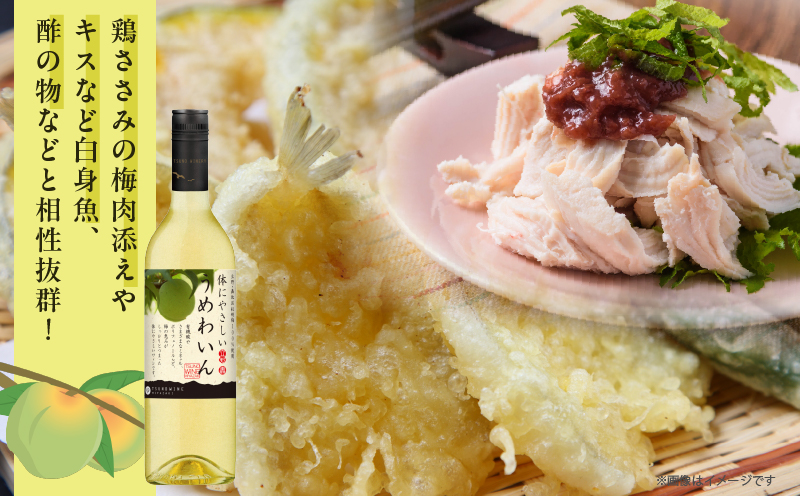 【数量限定】うめわいん(計1本) 酒 飲料 アルコール 国産_T014-029