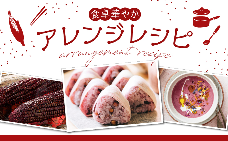 先行予約≪期間限定≫赤いスイートコーン大和ルージュ(約2kg) とうもろこし 野菜 国産_T003-0075