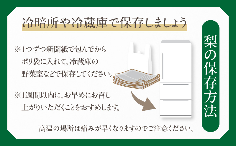 先行予約≪期間限定≫まるみ観光果樹園の『新高梨』(約4kg) なし 果物 フルーツ 天然 ミネラル栽培_T036-0025