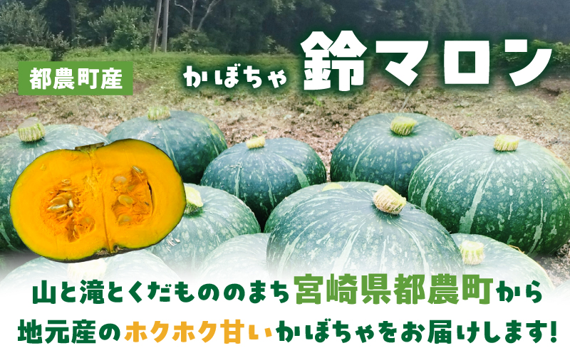 先行予約≪期間限定≫都農町産かぼちゃ 「鈴マロン」計5kg カボチャ 野菜 旬 サラダ 国産_T015-0075