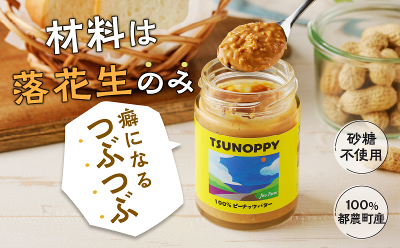 【2週間以内発送】≪お試し≫都農町産クラフトピーナッツバター(チャンク)計1個 落花生 加工品 国産_T024-0091