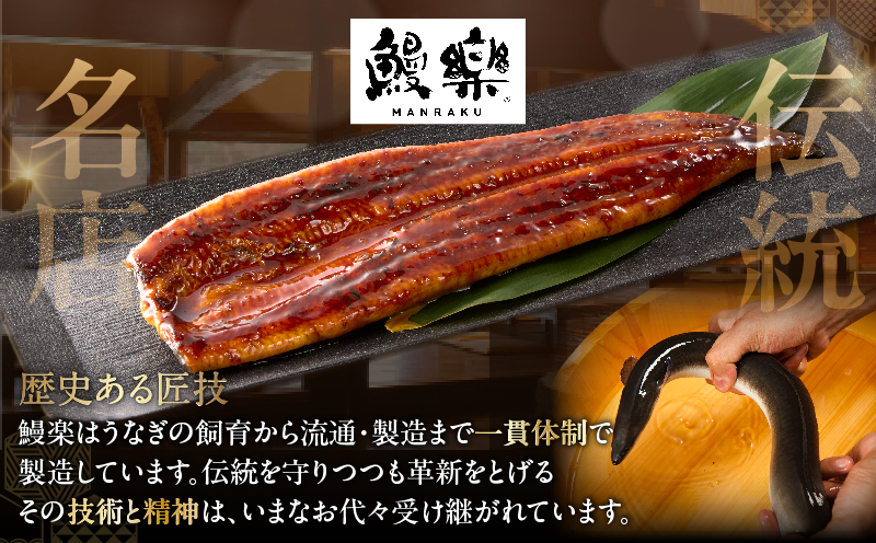 【選べる3回定期便】うなぎ蒲焼5尾(さんしょう・たれ付き)計800g以上 鰻 魚 魚介 加工品 国産_T026-0036-SKU