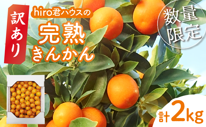 先行予約≪数量限定≫訳ありhiro君ハウスの『完熟きんかん(計2kg)』フルーツ 果物 金柑 国産_T022-003