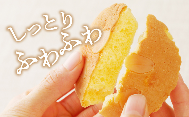 【2週間以内発送】老舗菓子舗のマドレーヌ 「計6個・個包装」 焼き菓子 スイーツ 詰め合わせ 洋菓子_T035-016
