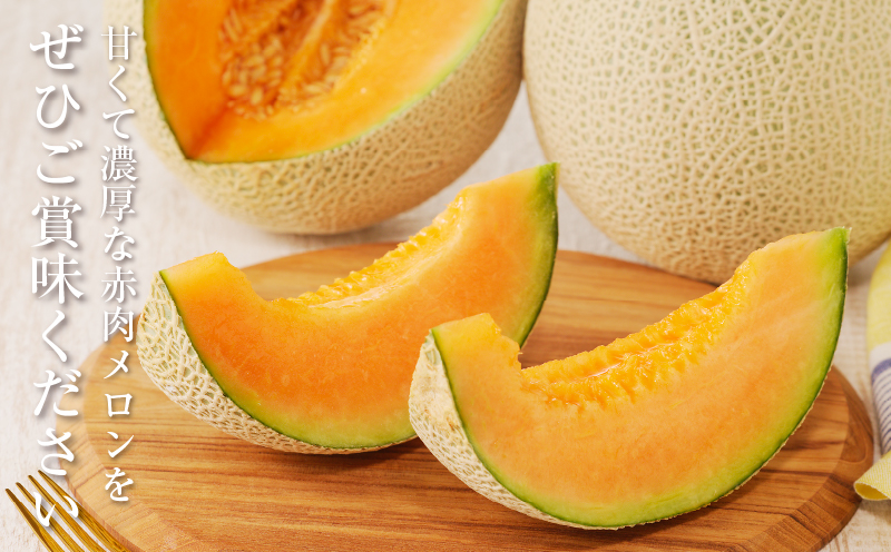 夏用 先行予約≪期間限定≫都農町産「赤肉メロン」計2玉 フルーツ 果物 デザート 国産_T015-0065-N