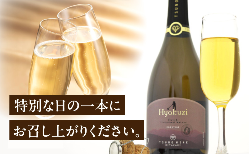 【数量限定】Hyakuzi ブリュット トラディショナル メソッド(計1本) 酒 飲料 アルコール 国産_T014-008