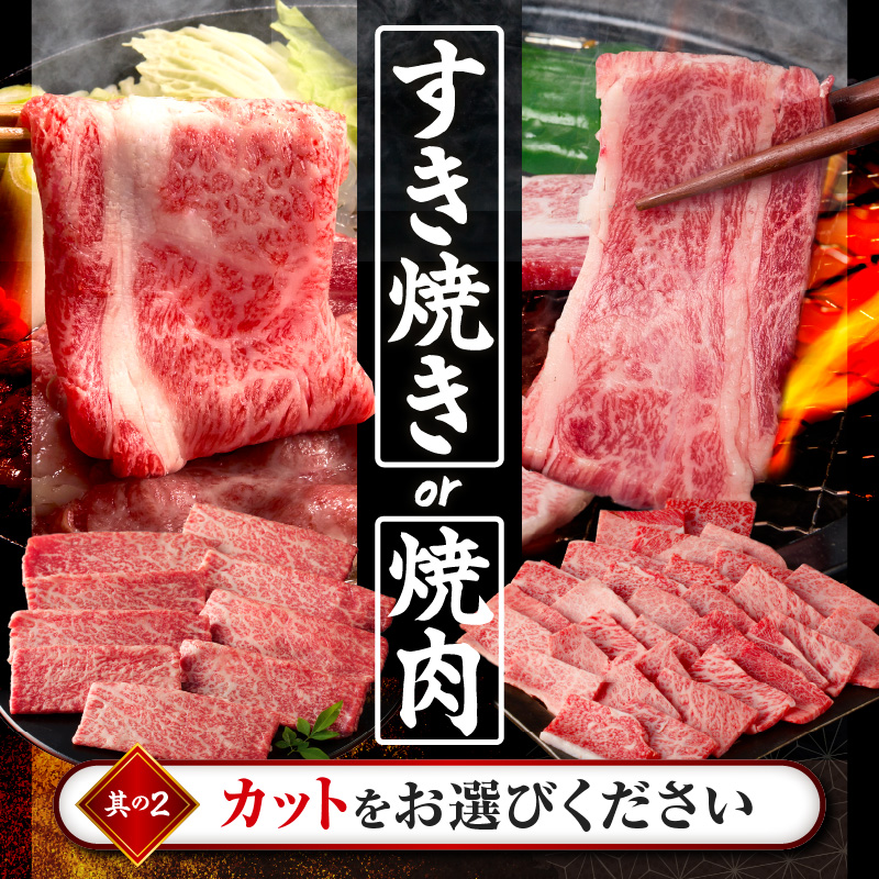 【14営業日以内発送】【選べる内容量】【畜産農家応援】≪肉質等級4等級以上≫黒毛和牛赤身【すき焼きor焼肉(計500g 1kg 1.5kg 2kg)】 _T030-0896-SKU