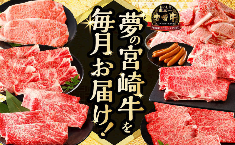 ≪6か月定期便≫夢の宮崎牛食べつくしセット(総重量6kg) 肉 牛 牛肉 おかず 国産_T030-1433
