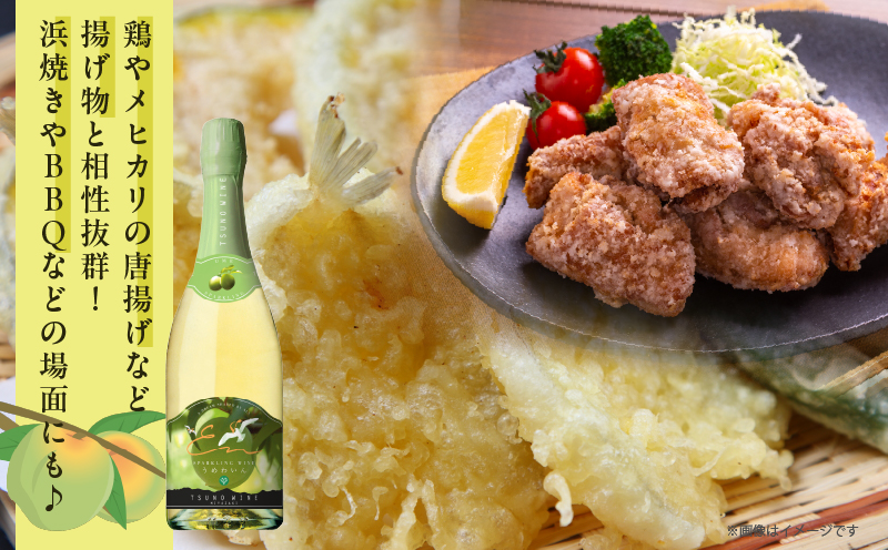 【数量限定】スパークリングワインうめ(計1本) 酒 飲料 アルコール 国産_T014-030