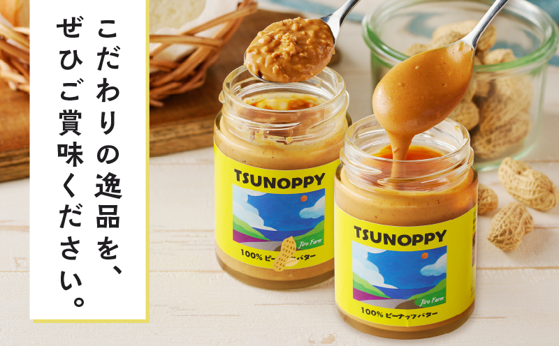 【2週間以内発送】都農町産クラフトピーナッツバターセット(スムース＆チャンク)合計2個 落花生 加工品 国産_T024-0101