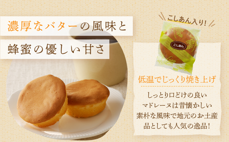 【2週間以内発送】老舗菓子舗のマドレーヌ(こしあん入り)・カステラセット「合計6個・個包装」 焼き菓子 スイーツ 詰め合わせ 洋菓子_T035-021
