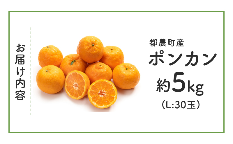 先行予約≪期間限定≫都農町産「ポンカン(Lサイズ)」 約5kg フルーツ 果物 柑橘 国産_T008-015