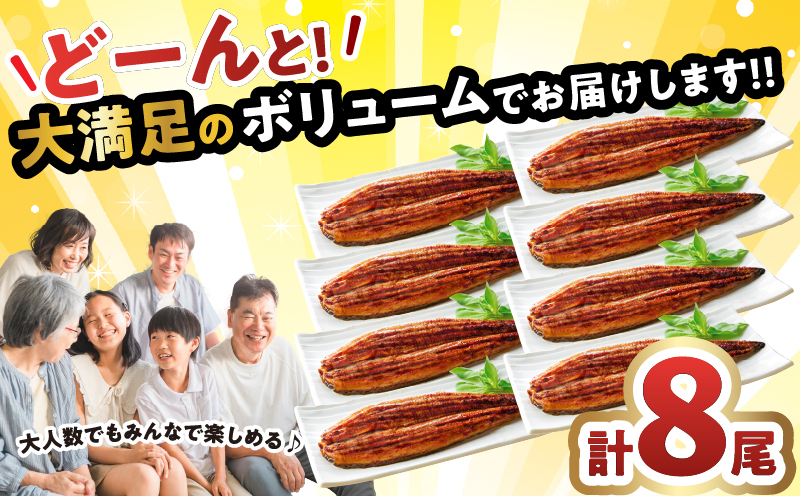 うなぎ蒲焼8尾(さんしょう・たれ付き)計1280g以上 鰻 魚 魚介 加工品 国産_T026-0081