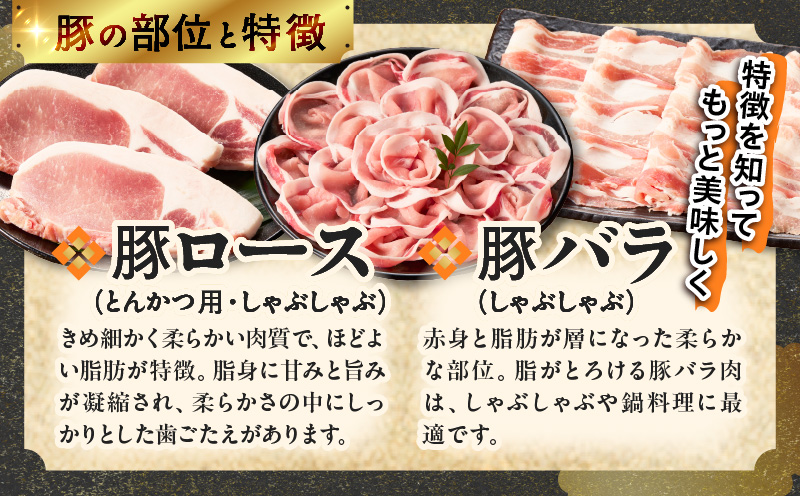 【14営業日以内発送】宮崎県産豚肉6種盛り合わせセット(合計4.1kg) 肉 豚 豚肉 おかず 国産_T030-2045-14E