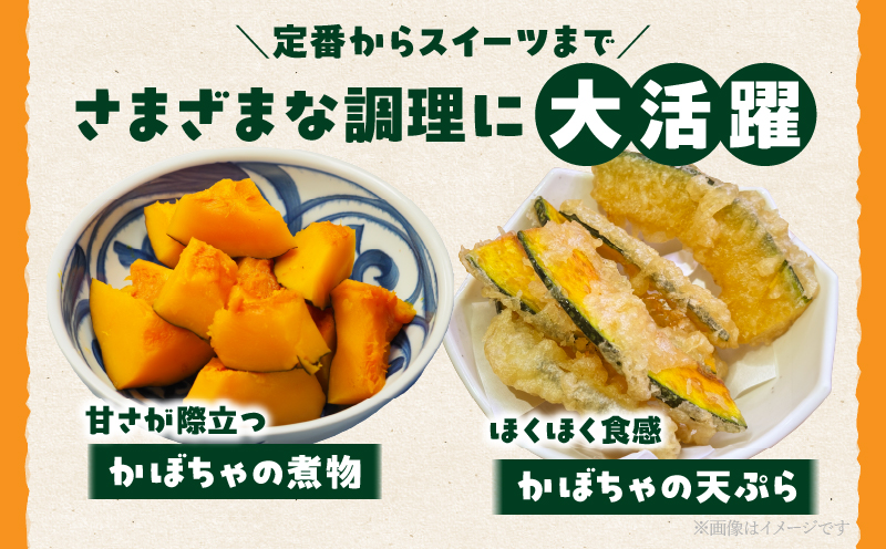 先行予約≪期間限定≫都農町産かぼちゃ 「鈴マロン」計5kg カボチャ 野菜 旬 サラダ 国産_T015-0075