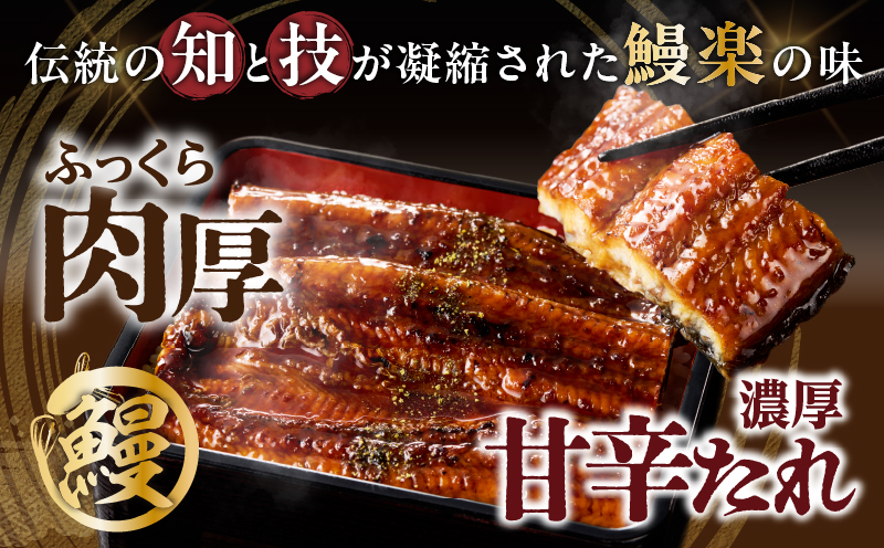【選べる3回定期便】うなぎ蒲焼5尾(さんしょう・たれ付き)計800g以上 鰻 魚 魚介 加工品 国産_T026-0036-SKU