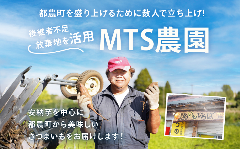 冷やし焼き芋(安納芋・紅はるか) 合計800g さつまいも イモ 野菜 国産_T016-008
