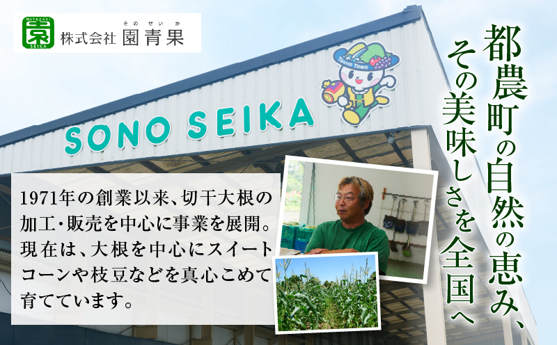 【2週間以内発送】＼ポスト投函／わりぼし大根(醤油味)計1袋 野菜 加工品 国産_T003-015