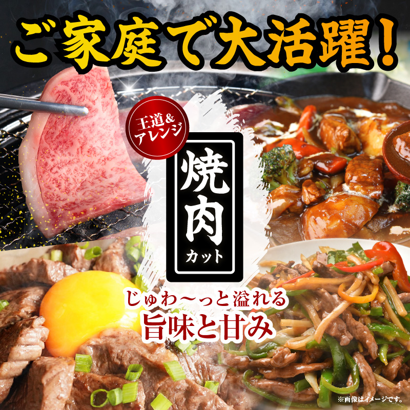 【14営業日以内発送】【選べる内容量】【畜産農家応援】≪肉質等級4等級以上≫黒毛和牛赤身【すき焼きor焼肉(計500g 1kg 1.5kg 2kg)】 _T030-0896-SKU