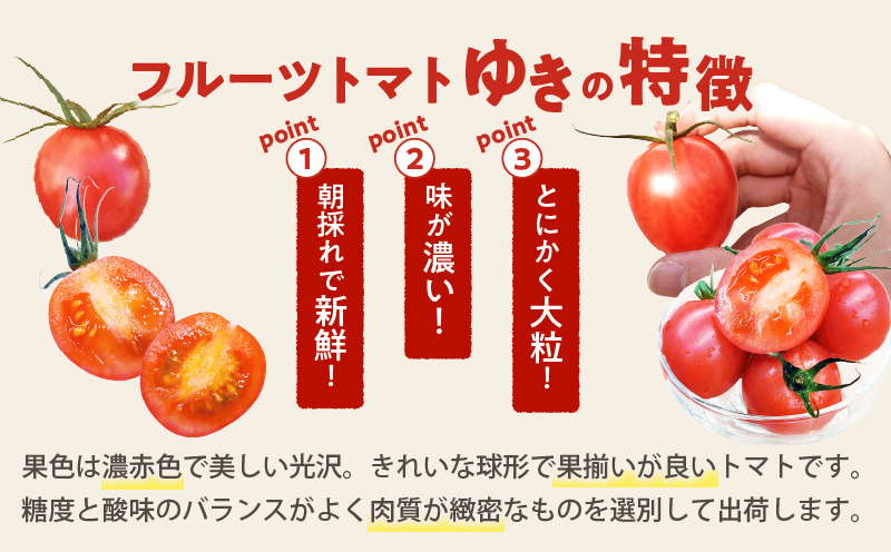 先行予約≪期間限定≫オリジナルブランド「フルーツトマト ゆき」計2kg ミニトマト 野菜 サラダ 国産_T047-0041