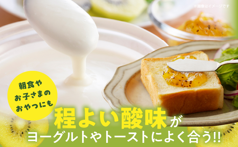 TSUNO JAMゴールドキウイ(計3個) 加工食品 フルーツ 果物  国産_T043-005
