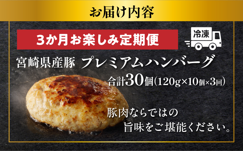 宮崎県産豚プレミアムハンバーグ(合計30個) 肉 豚肉 加工品 国産_T001-0171