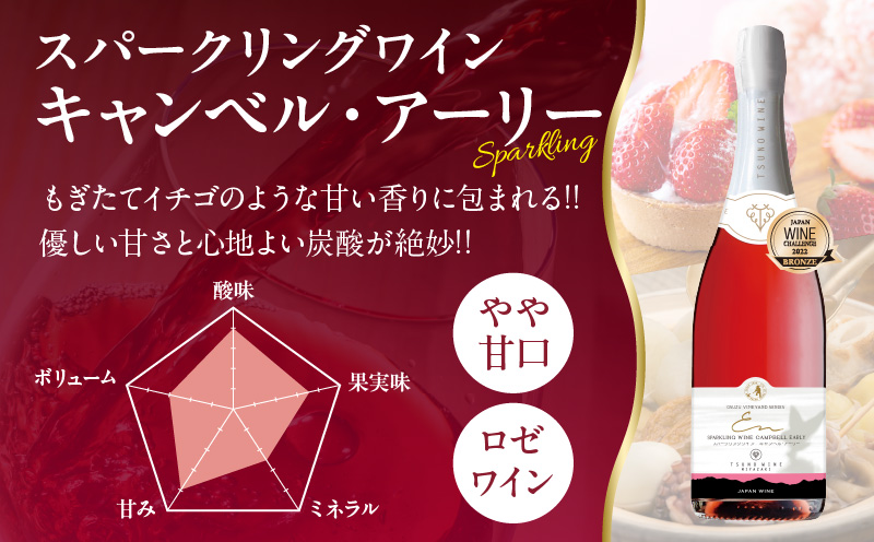 ＼年内発送!!／都農ワインセレクトセット(合計3本) 酒 飲料 アルコール 国産_T014-001-N