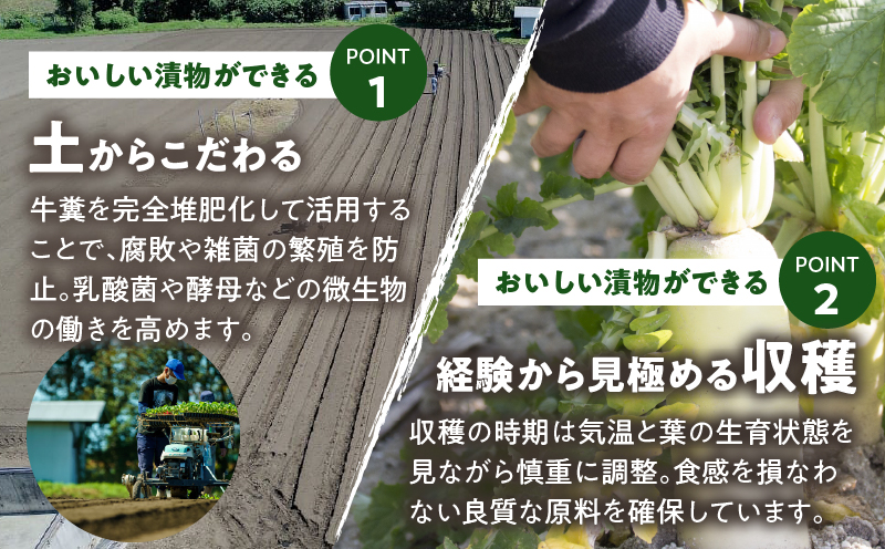 FRESH HABANERO(ハバネロ)計3瓶 漬物 おかず 野菜 加工品 国産_T025-048