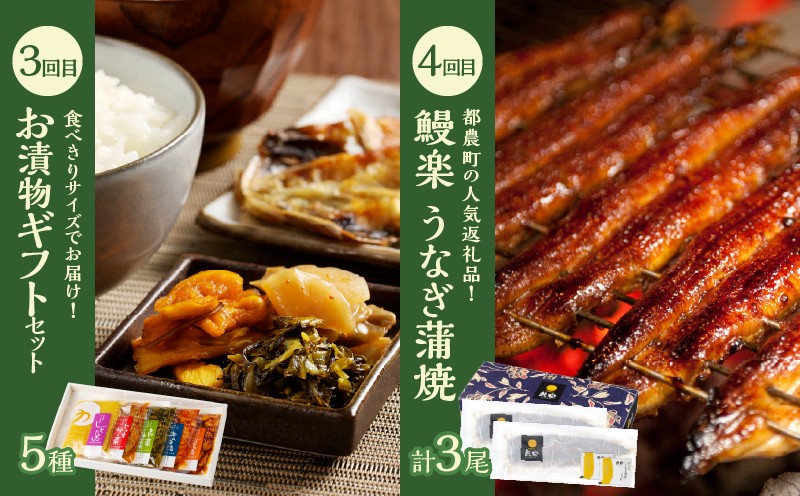≪12か月お楽しみ定期便≫都農町定期便(竹) 肉 加工品 デザート 国産_T999-0096