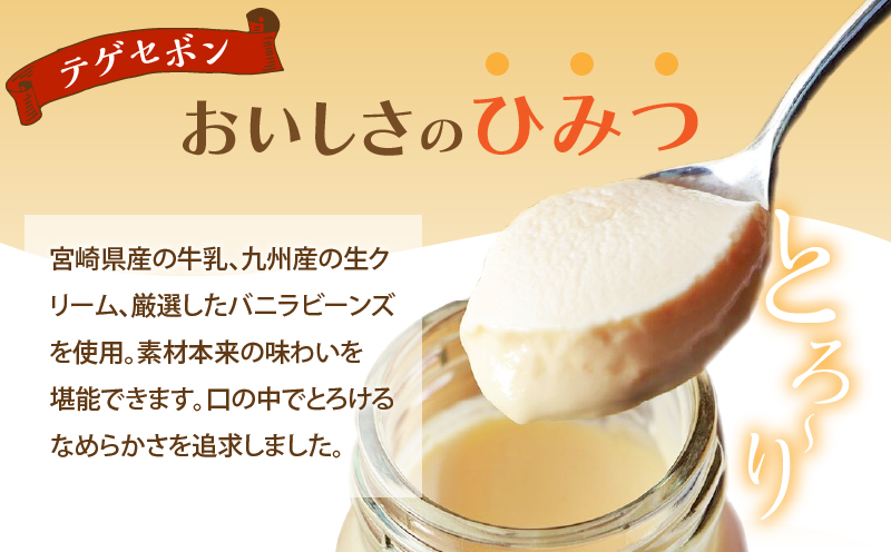 ＼年内発送!!／南国プリン「テゲセボン(計6個)」 スイーツ 洋菓子 国産_T038-0041-N