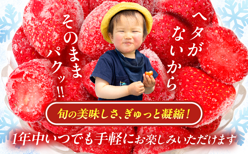 ≪訳あり≫都農町産「冷凍いちご(やよいひめ）」計1kg フルーツ 果物 デザート イチゴ 国産_T059-003