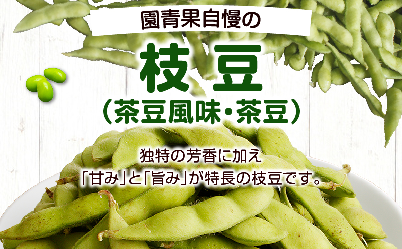 先行予約≪期間限定≫枝豆(茶豆風味・茶豆)計1.25kg お試し用 野菜 旬 国産_T003-0055