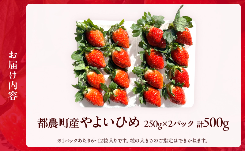 ≪先行予約≫都農町産いちご「やよいひめ」計500g フルーツ 果物 デザート イチゴ 国産_T059-001