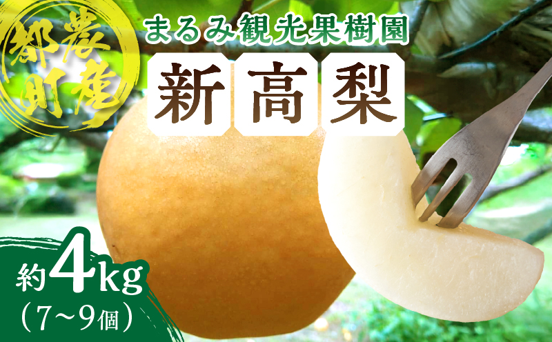 先行予約≪期間限定≫まるみ観光果樹園の『新高梨』(約4kg) なし 果物 フルーツ 天然 ミネラル栽培_T036-0025